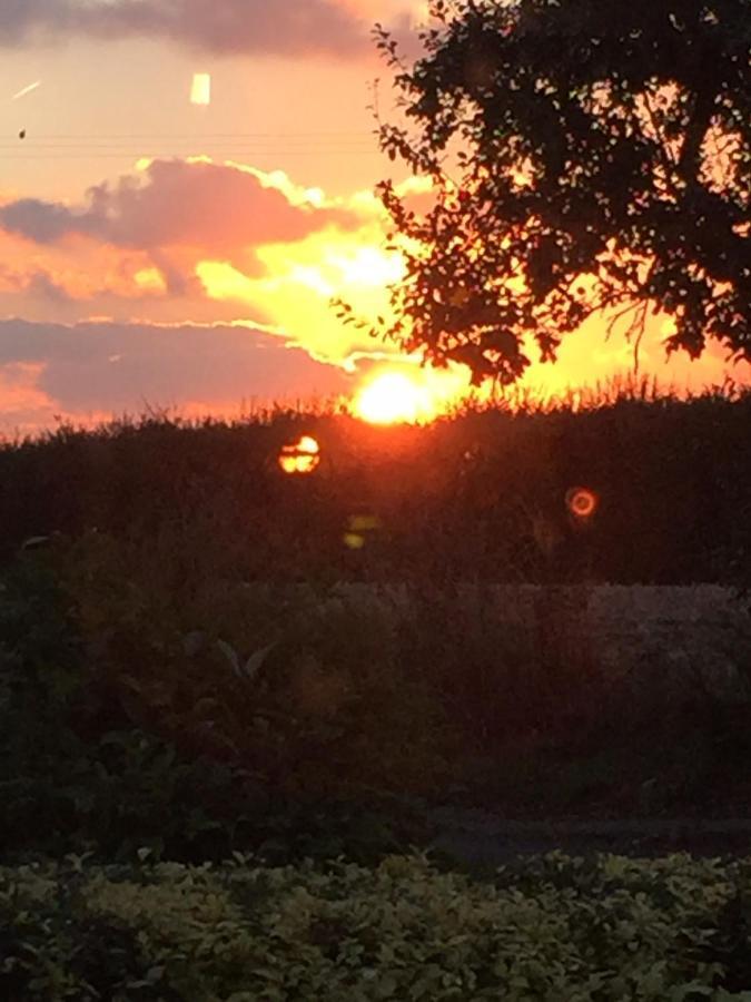 Corner House Luxury Bnb Little Dunmow Bagian luar foto